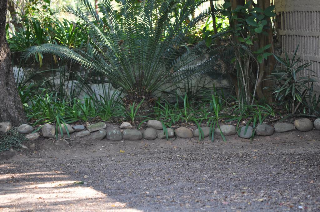 Laughing Waters Guest House Hazyview Buitenkant foto